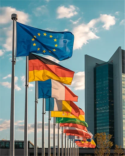 image of flags