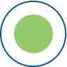 circle icon
