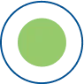 circle icon