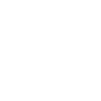 EU-Focused Supply Icon