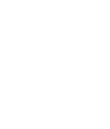 icon of pie chart