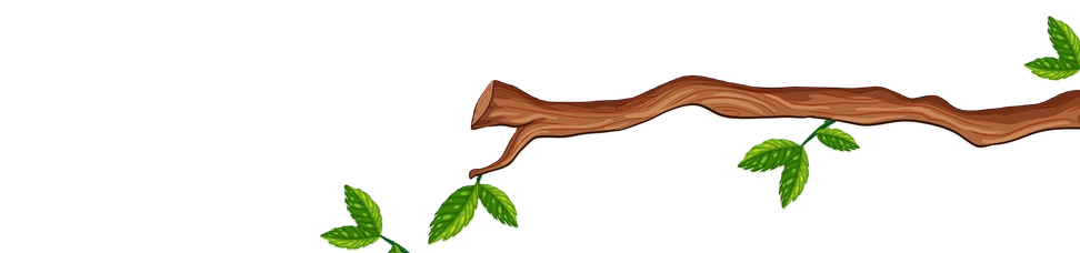 image of tree branch