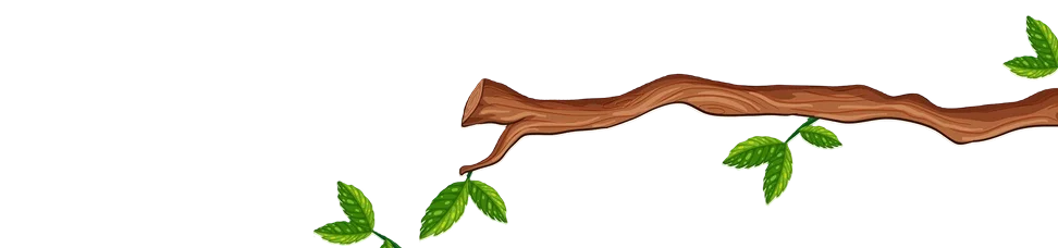 image of tree branch